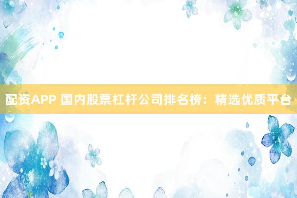 配资APP 国内股票杠杆公司排名榜：精选优质平台