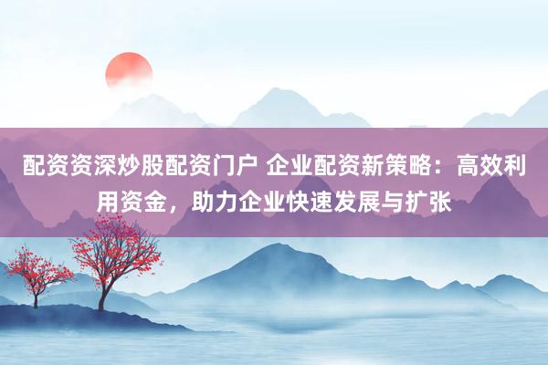 配资资深炒股配资门户 企业配资新策略：高效利用资金，助力企业快速发展与扩张