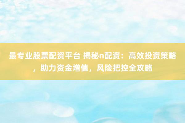 最专业股票配资平台 揭秘n配资：高效投资策略，助力资金增值，风险把控全攻略