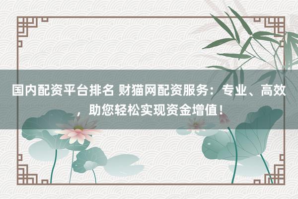 国内配资平台排名 财猫网配资服务：专业、高效，助您轻松实现资金增值！