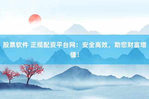股票软件 正规配资平台网:安全高效,助您财富增值!