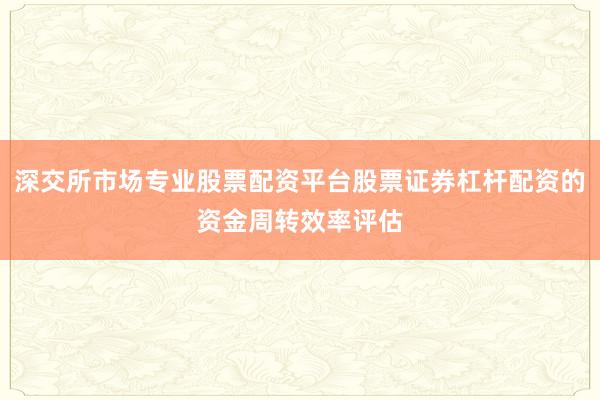 深交所市场专业股票配资平台股票证券杠杆配资的资金周转效率评估