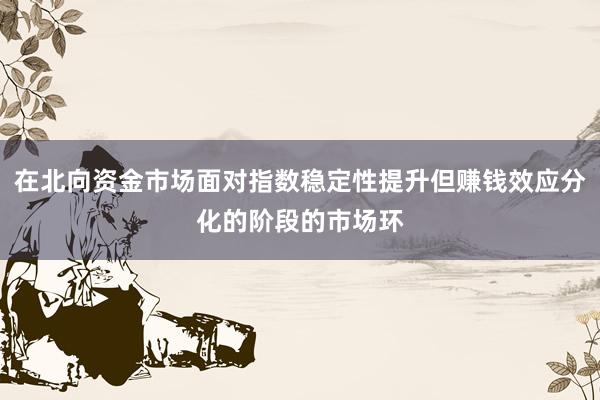 在北向资金市场面对指数稳定性提升但赚钱效应分化的阶段的市场环