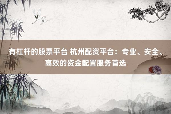有杠杆的股票平台 杭州配资平台：专业、安全、高效的资金配置服务首选