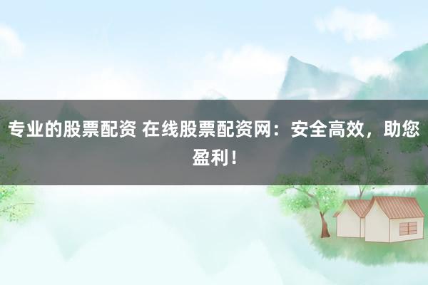 专业的股票配资 在线股票配资网：安全高效，助您盈利！