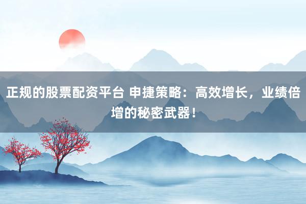 正规的股票配资平台 申捷策略：高效增长，业绩倍增的秘密武器！